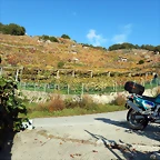 DSCN9782