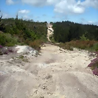DSCN5322