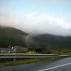 DSCN8497