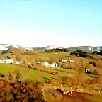 DSCN1996