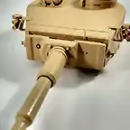 Tiger19