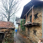 DSCN0346