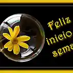 Feliz inicio de semana 333