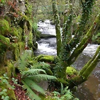 DSCN5782