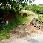 DSCN3417