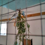 IMG_20170429_131407_2