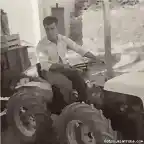 Transportando uva en el tractor (2)