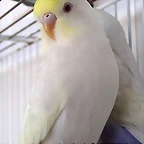 2F4E9DA3B4304E874C622E4E874477