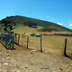 DSCN4594