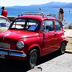 CAS_3976