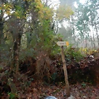 DSCN0730