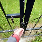 DSCN4441
