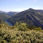 DSCN1550
