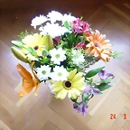 DSC04181