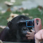 Zoo de Barcelona 07-11-10 706
