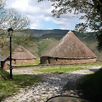 DSCN8960