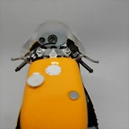 DSCN4546