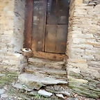 DSCN8343