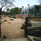 Zoo de Barcelona 14-04-11 379