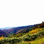 DSCN5216