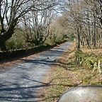 DSCN1535