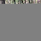IMG_1762