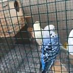 IMG-20241022-WA0018