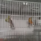 IMAG0665