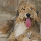 bosco2
