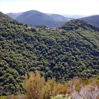 DSCN1535