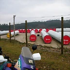 DSCN5575
