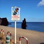 DSC01965