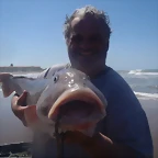 SALMONASSSSO 129 [HDTV (1080)]
