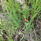 IMG_20180429_102426