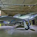 p51denexhibicinenelmuse