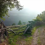 DSCN4103