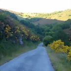 DSCN4125