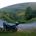 DSCN4129