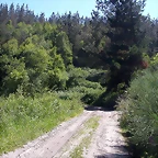 DSCN4002