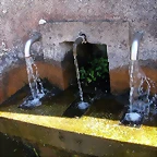 DSCN3990