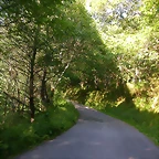 DSCN4061