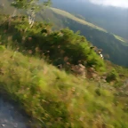 DSCN4112