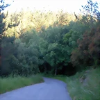 DSCN4063