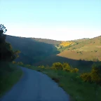 DSCN4118