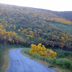 DSCN4120