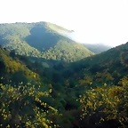 DSCN4126