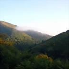 DSCN4130