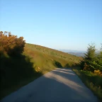 DSCN4136