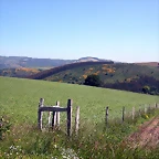DSCN4006