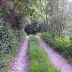 DSCN4085